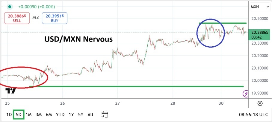 【XM Forex】--USD/MXN Analysis: Nervous Conditions for Traders and Institutions(图1)