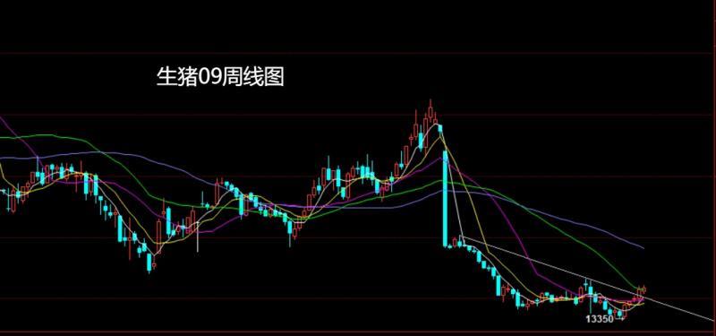 【XM外汇平台】：美指大阳需反弹，豆粕生猪延低多(图5)