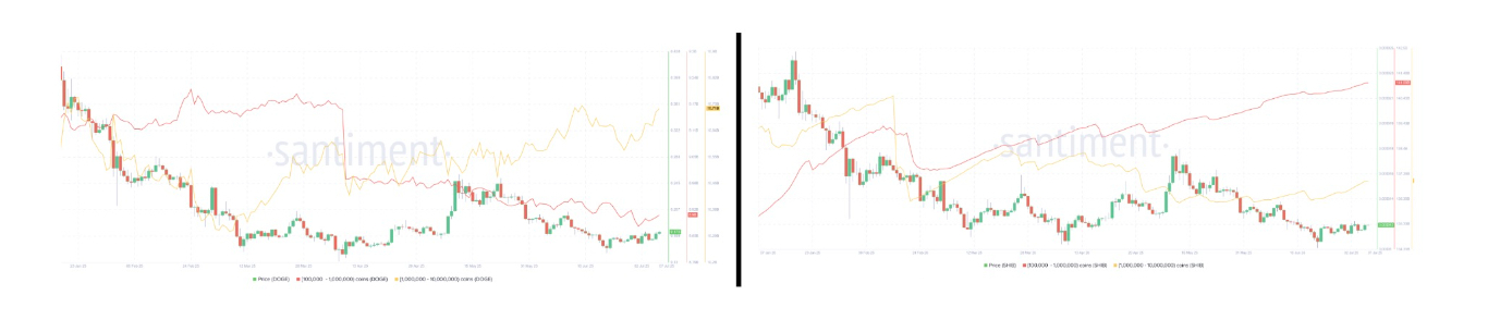 【XM Market Analysis】--DOGE, SHIB Lead Memecoin Recovery Amid Increasing Holder Accumulation H1(图4)